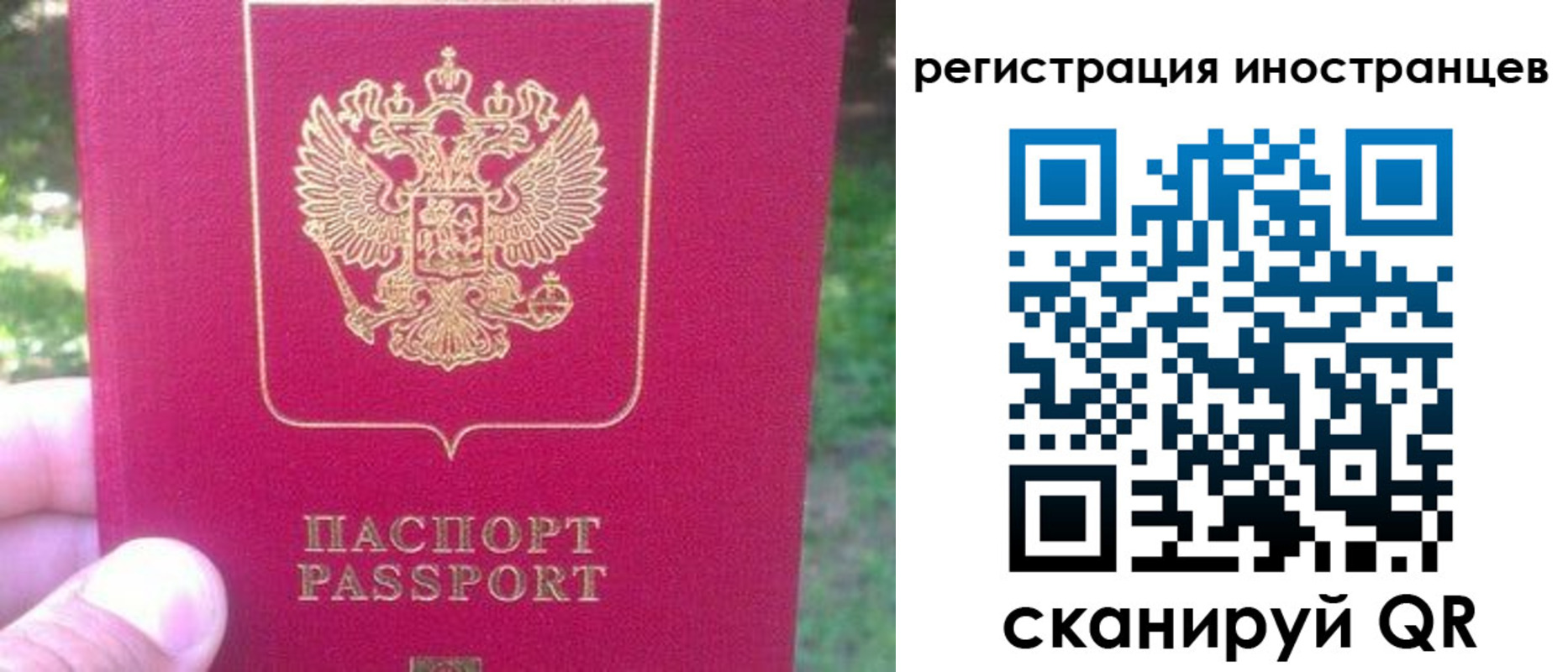 временная регистрация законно в Скопине